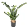 ZAMIA artificiel ou Zamioculcas 60 ou 90 cm ANTI FEU