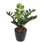 ZAMIA artificiel ou Zamioculcas 60 ou 90 cm ANTI FEU