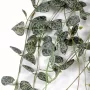 CEROPEGIA artificiel (chaine des coeurs) 60 cm ANTI FEU