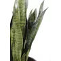 SANSEVIERIA artificiel 93 cm ANTI FEU