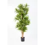 Dracena artificiel (ou DRACAENA) Reflexa new 150 ou 180 cm ANTI FEU