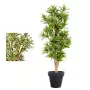 Dracena artificiel (ou DRACAENA) Reflexa new 150 ou 180 cm ANTI FEU