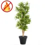 Dracena artificiel (ou DRACAENA) Reflexa new 150 ou 180 cm ANTI FEU