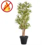 Dracena artificiel (ou DRACAENA) Reflexa new 150 ou 180 cm ANTI FEU