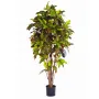 CROTON  artificiel