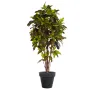 CROTON  artificiel