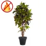 CROTON  artificiel