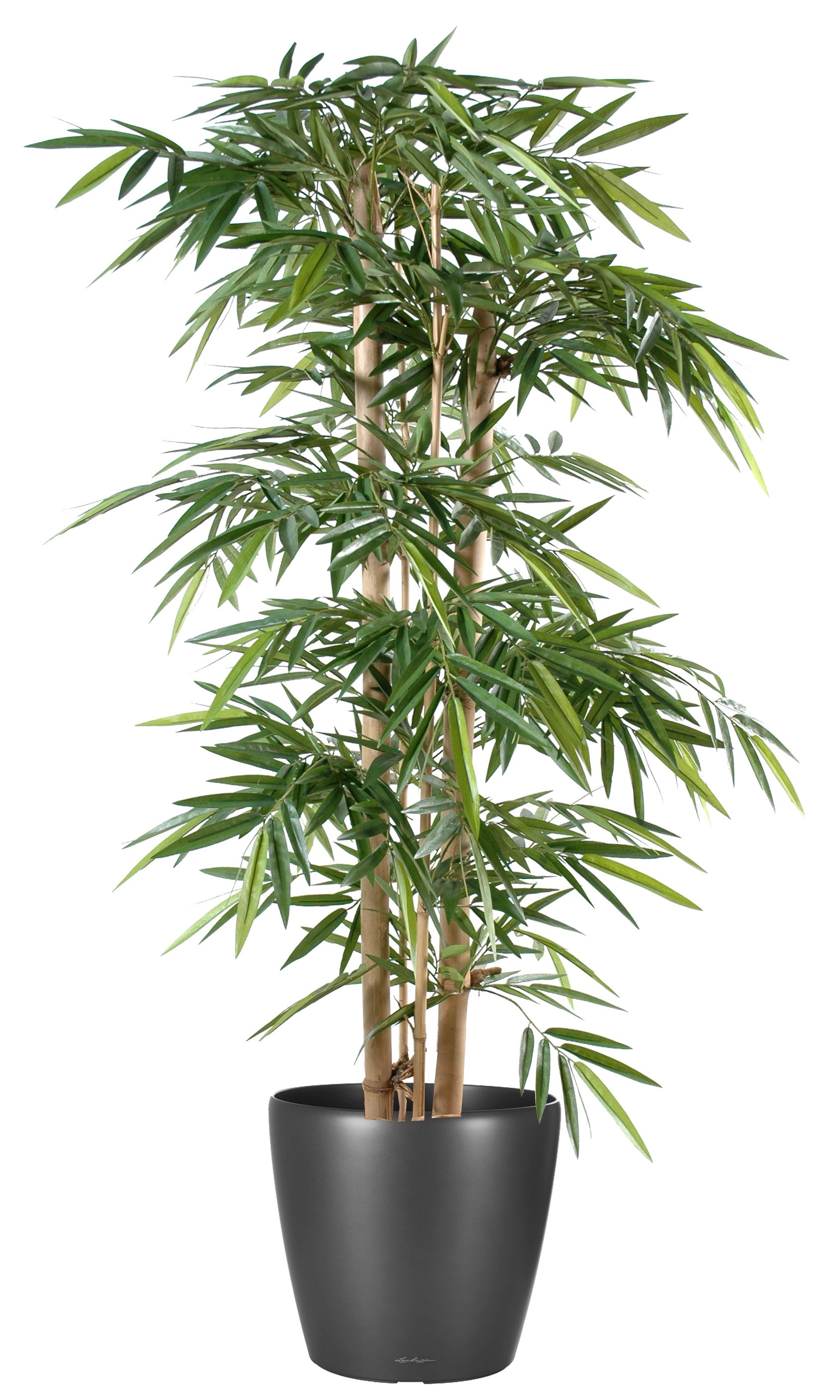 Bambou artificiel lot de 2 70cm