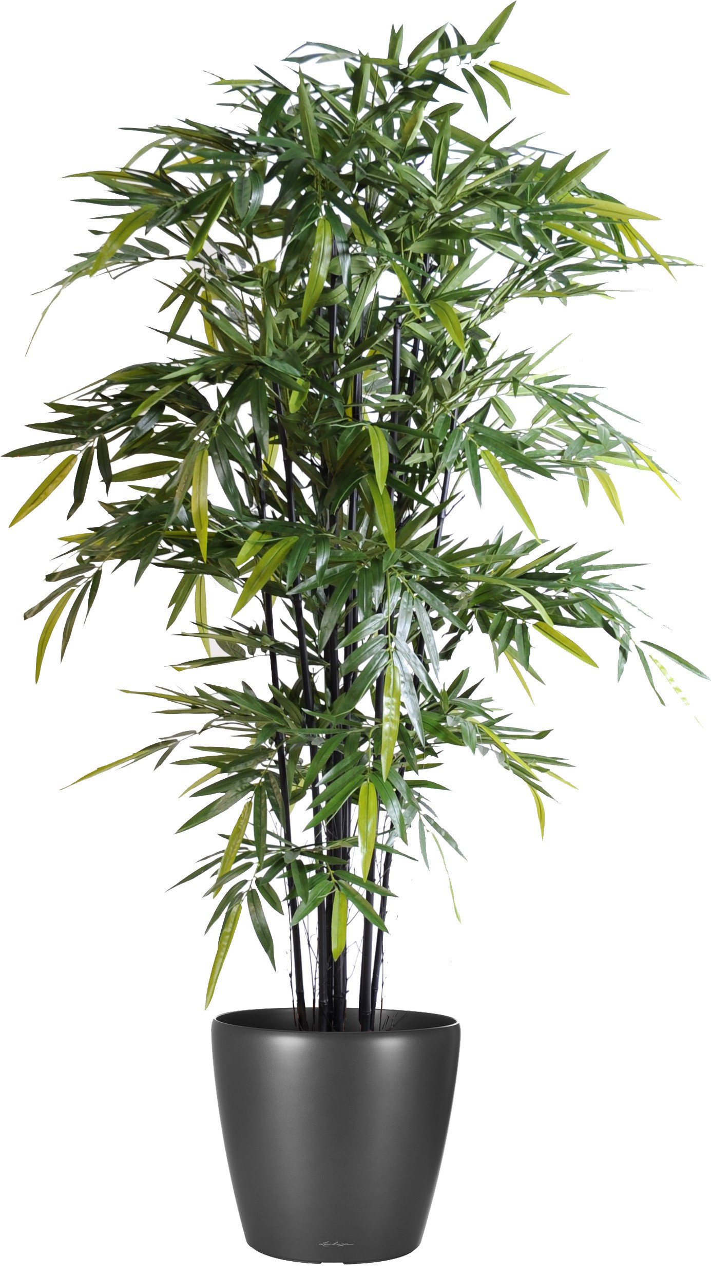 Bambou artificiel en pot noir, 100 cm