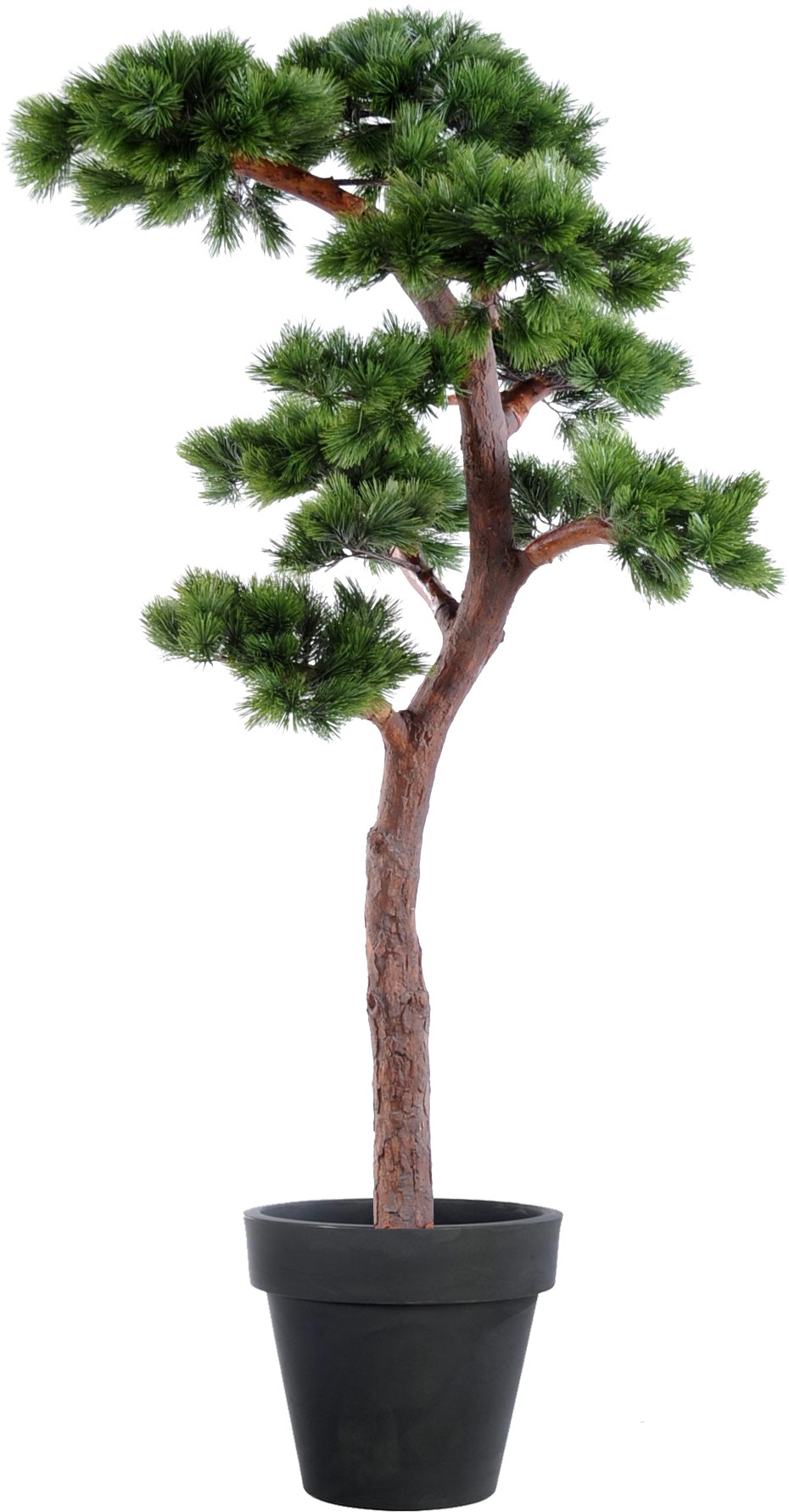 Bonsai artificiel pinus 22 cm - Bonsaïs artificiels - Artiplantes