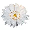 Fleur artificielle blanche