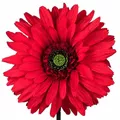 Fleur artificielle rouge