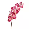 Orchidées et Phalaenopsis artificielles tige