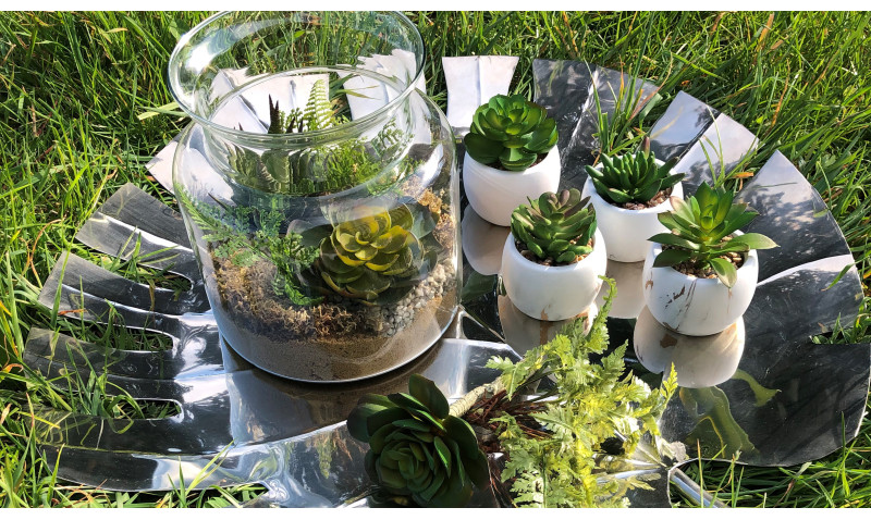 Comment faire un terrarium ? Choix de plantes & entretien